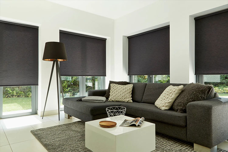 Sunscreen Roller Blinds for Living room